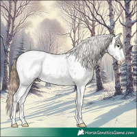 Horse Color:Bay Ice Dun Sabino Near Leopard 