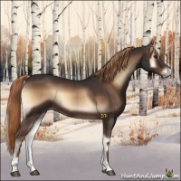 Horse Color:Liver Red Onyx