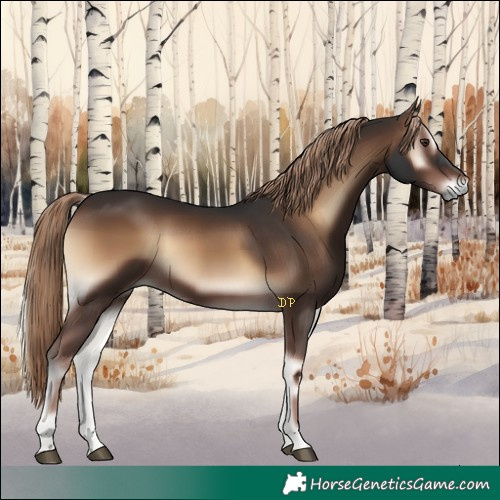 Horse Color:Liver Red Onyx