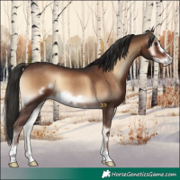 Horse Color:Liver Red Onyx Frame