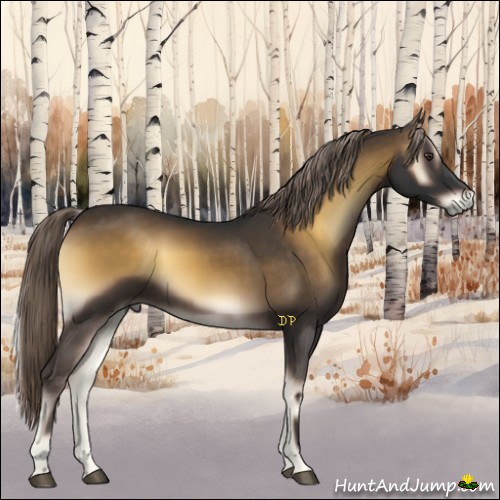 Horse Color:Chocolate Palomino Onyx 