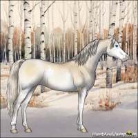 Horse Color:Chocolate Palomino Pearl Onyx Splash