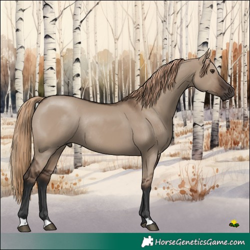 Horse Color:Liver Red Dun Rabicano 