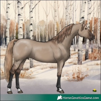Horse Color:Liver Red Dun Rabicano