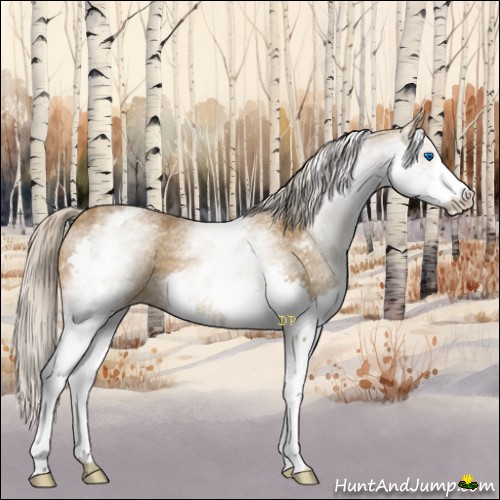 Horse Color:White Spotted Chocolate Palomino Splash 