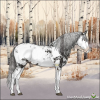 Horse Color:Liver Chestnut Sabino Varnish 