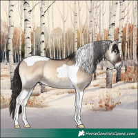 Horse Color:Liver Red Dun Onyx Tobiano 