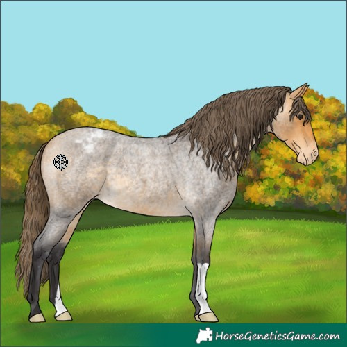 Horse Color:Unknown 