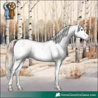 Horse Color:Chocolate Palomino Sabino Splash 