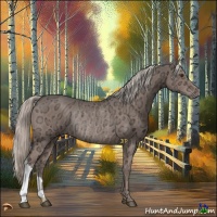 Horse Color:Liver Chestnut Ice Mushroom Rabicano 