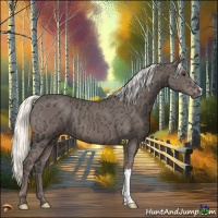 Horse Color:Liver Chestnut Ice Mushroom 