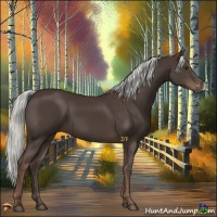 Horse Color:Liver Chestnut Mushroom 