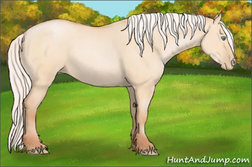 Horse Color:Silver Buckskin Pearl Dun Rabicano 