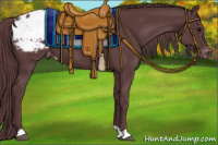 Horse Color:Chocolate Black Appaloosa 