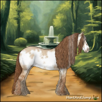 Horse Color:Red Dun Frame 