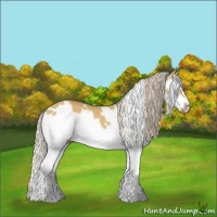 Horse Color:White Spotted Palomino Dun Splash Frame Brindle 