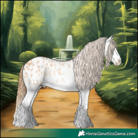 Horse Color:Red Dun Sabino Splash Appaloosa Rabicano 