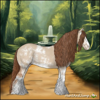 Horse Color:Red Dun Sabino Rabicano 