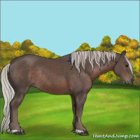 Horse Color:Silver Black Rabicano 