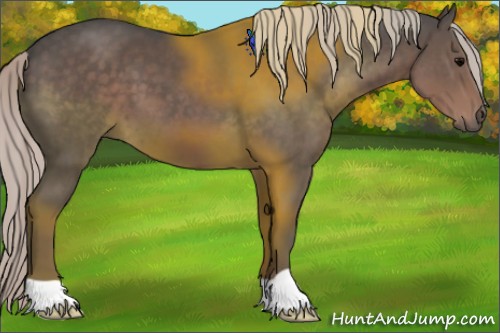 Horse Color:Silver Black 