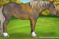 Horse Color:Silver Black