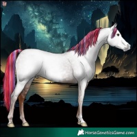 Horse Color:Gray Painted Chestnut Frame 