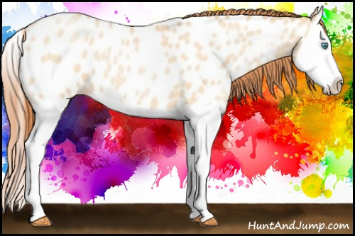Horse Color:Buckskin Pearl Dun Splash Near Leopard 