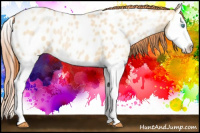 Horse Color:Buckskin Pearl Dun Splash Near Leopard 