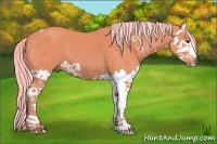 Horse Color:Watercolor Chestnut Splash 