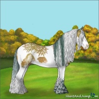 Horse Color:Watercolor White Spotted Bay Splash Tobiano Appaloosa