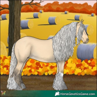 Horse Color:Silver Buckskin Dun Tobiano 