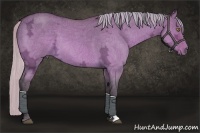 Horse Color:Silver Buckskin Ice Roan Dun 