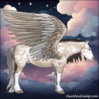 Horse Color:Bay Ice Dun Sabino Splash Varnish 
