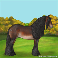 Horse Color:Brown 