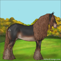Horse Color:Liver Chestnut 