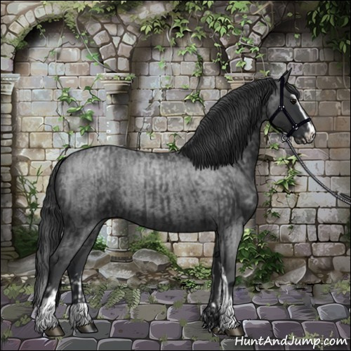 Horse Color:Blue Roan Sabino Splash  and Blue Roan Sabino 
