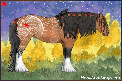 Horse Color:White Spotted Bay 