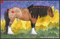 Horse Color:White Spotted Bay 