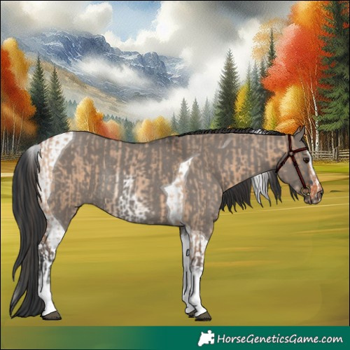 Horse Color:White Spotted Bay Roan Dun Rabicano and Grullo Sabino Tobiano Rabicano