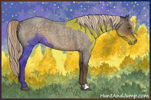Horse Color:Chocolate Palomino Roan 