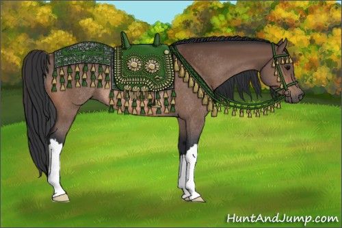 Horse Color:Bay Rabicano 