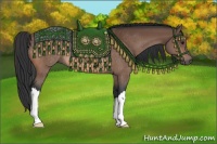 Horse Color:Bay Rabicano