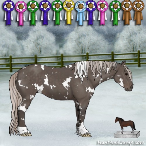 Horse Color:White Spotted Silver Black 