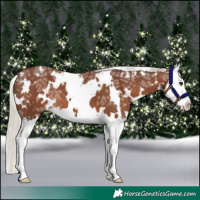 Horse Color:White Spotted Silver Black Ice Splash 