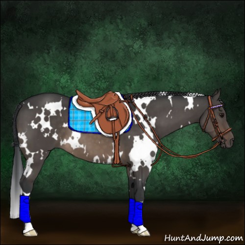 Horse Color:White Spotted Brown Dun 