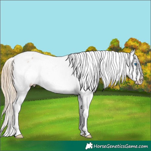 Horse Color:Chestnut Splash Snowflake Varnish 
