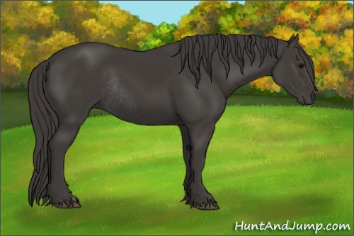 Horse Color:Smoky Black Rabicano