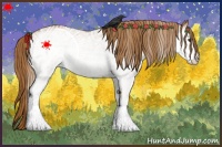 Horse Color:White Spotted Chestnut 