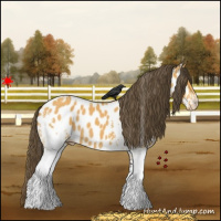 Horse Color:White Spotted Buckskin Near Leopard 