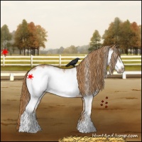Horse Color:White Spotted Chestnut Frame 